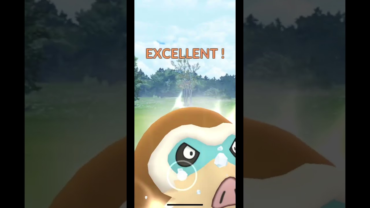 マスタープレミア開幕　育成済みポケモンこの3体😅 Part6