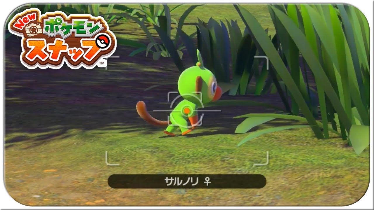 人類の祖先ってきっとサルノリ 【New ポケモンスナップ】#02