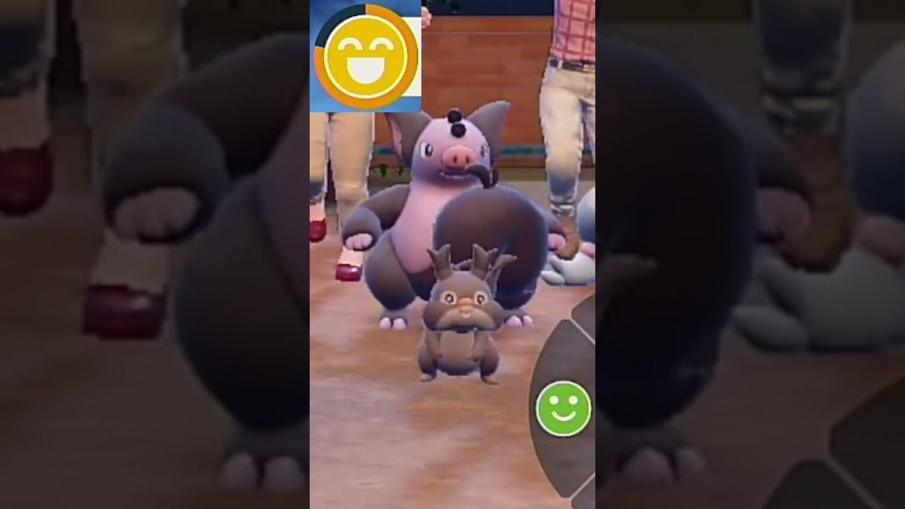 【ホシガリス】ポケモンエクササイズ【パルデア図鑑No.29】#Shorts