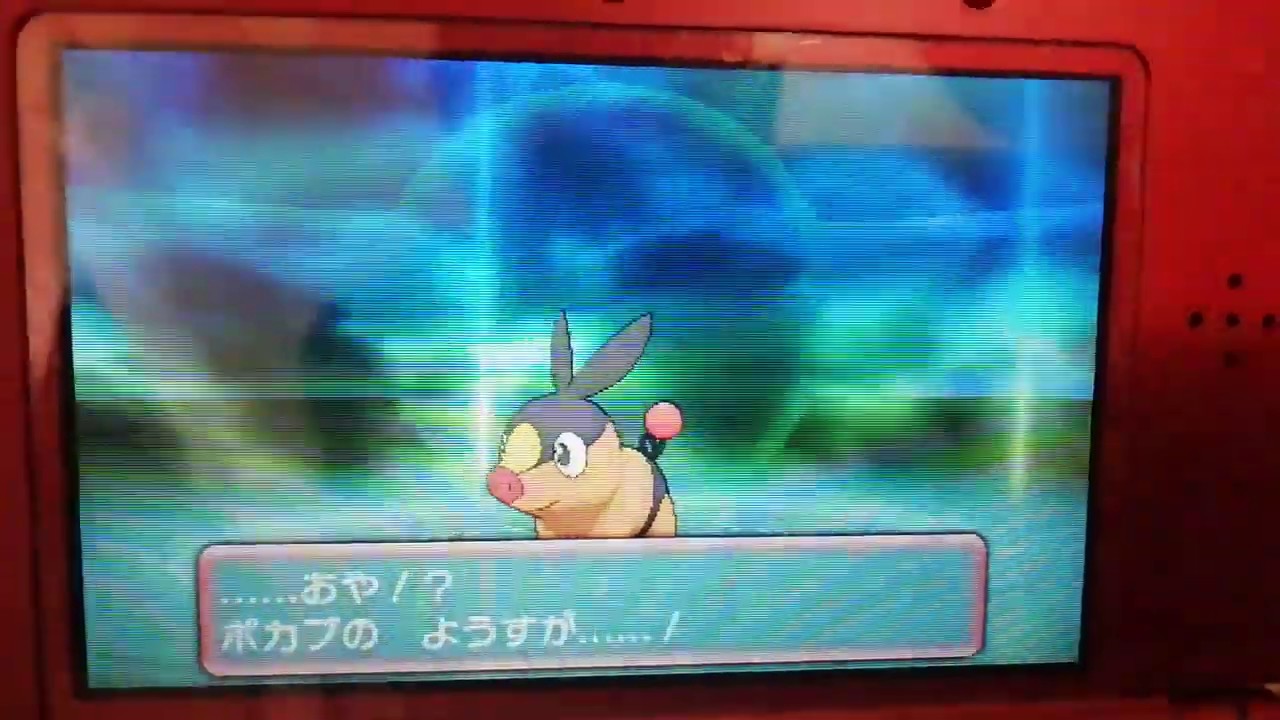 【ポケモンXY】ポカブの進化