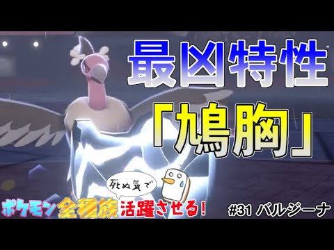 バルジーナの「はとむね」がダイホロウ対策で優秀過ぎてヤバかった件【ポケットモンスター ソード・シールド/剣盾】