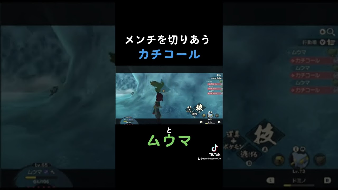 メンチを切り合うカチコールとムウマ#shorts #ポケモン #アルセウス