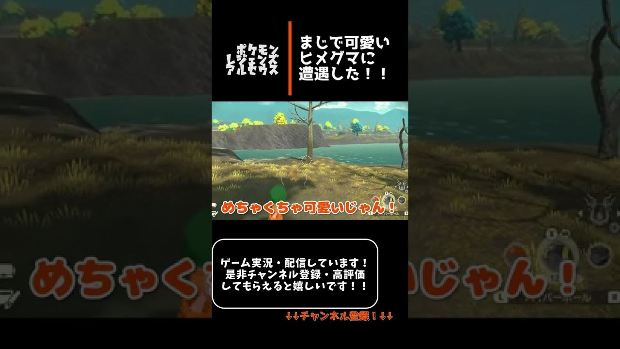マジでかわいいヒメグマに遭遇した！！【ポケモンレジェンズアルセウス】　#shorts