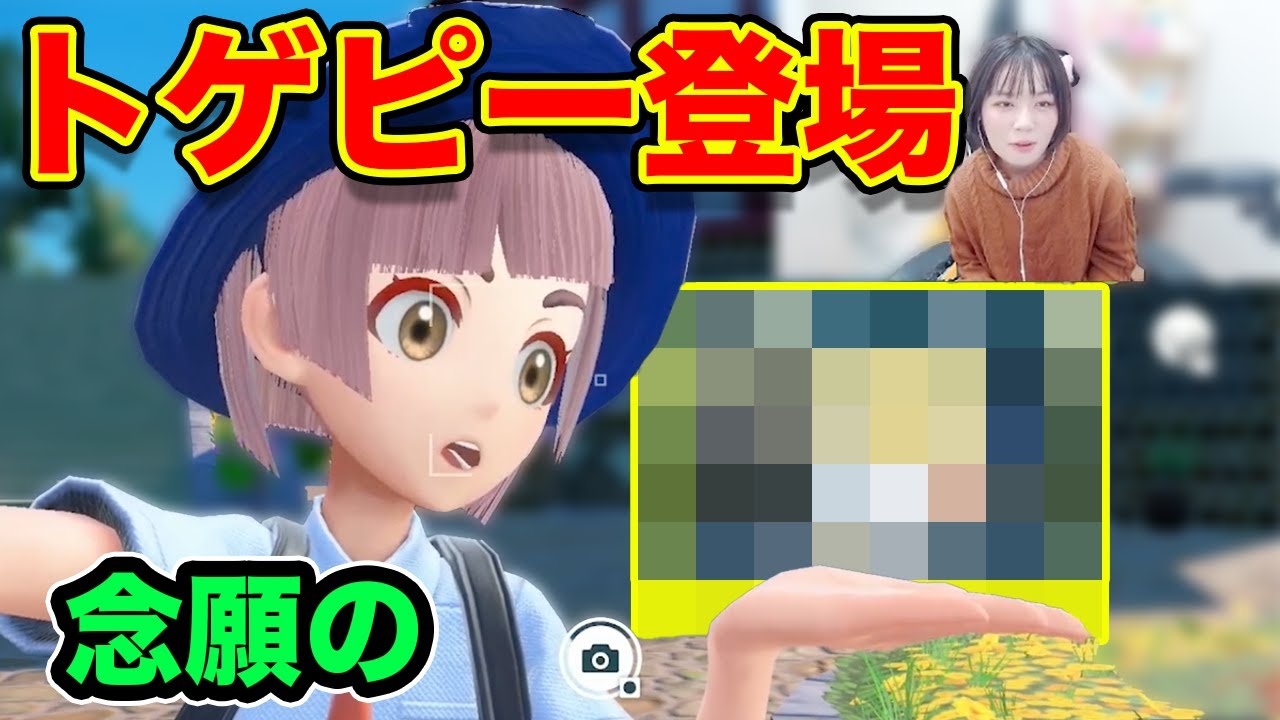 ポケモンSVについにトゲピーが登場【けんぴ。切り抜き】
