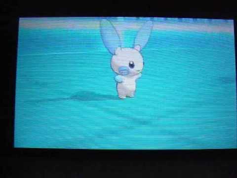 【ポケモンXY】プラスルとマイナンのふぶき