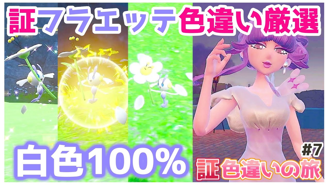 【ポケモンSV】フラエッテ色違い厳選！白色を確定入手【証色違いの旅7】