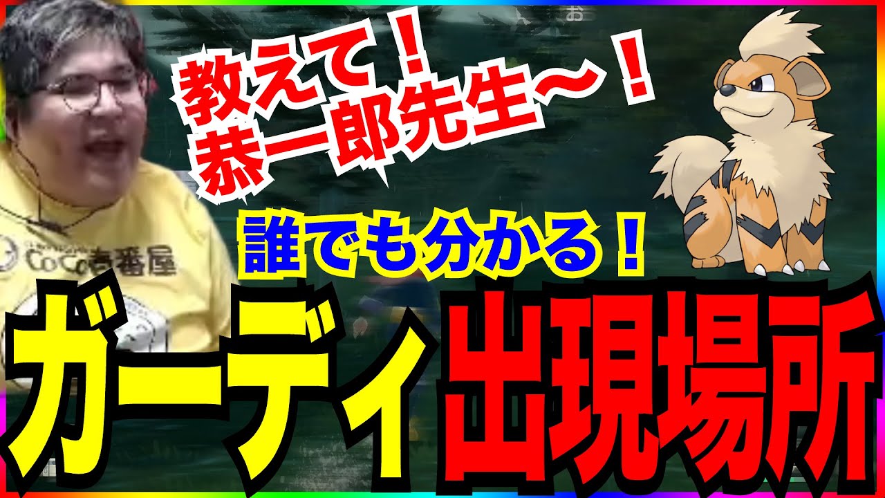 【ポケモンアルセウス】教えて！恭一郎先生～！ガーディ出現場所講座！(2022/02/09)