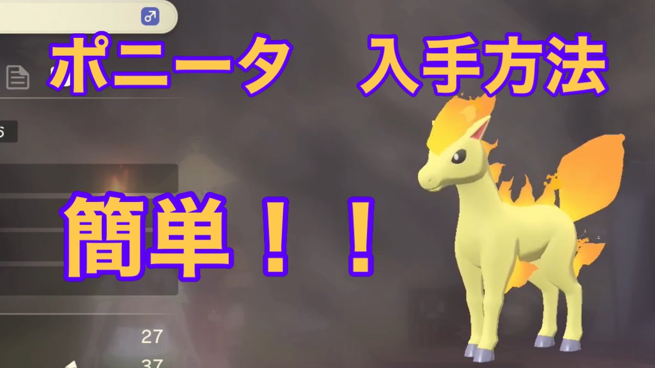 【Pokémon LEGENDS アルセウス】ポニータ入手方法　攻略動画