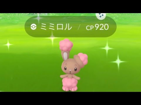 ポケモンGO  ミミロル色違い