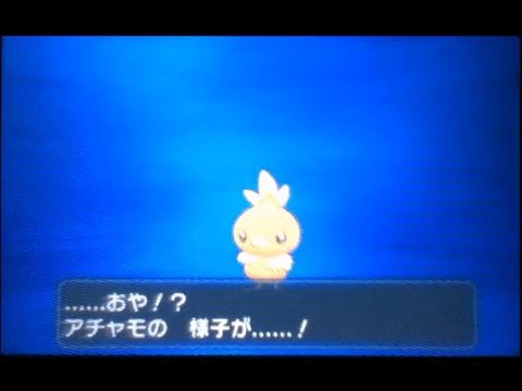 ポケモンXY アチャモから進化