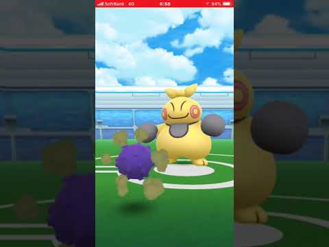 ポケモンGO  マクノシタ対ポッポ