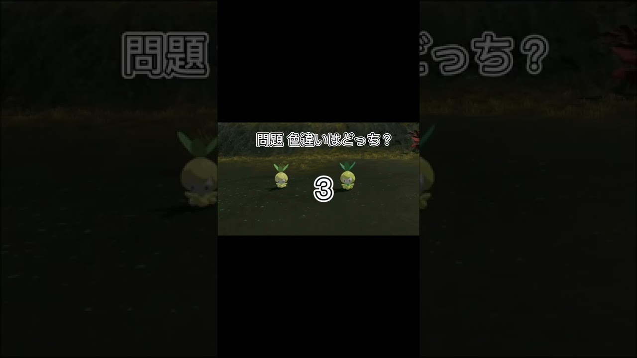 【ポケモン】色違いクイズ チュリネ#ポケモン #ポケモンレジェンズアルセウス #クイズ #色違い