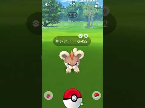 シシコとパラス‼️#pokemongo #ポケモンgo色違い #shinypokemon #shorts