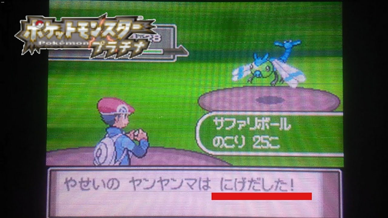 【ポケモンプラチナ】サファリウィークで悲劇❗❗色違いヤンヤンマ
