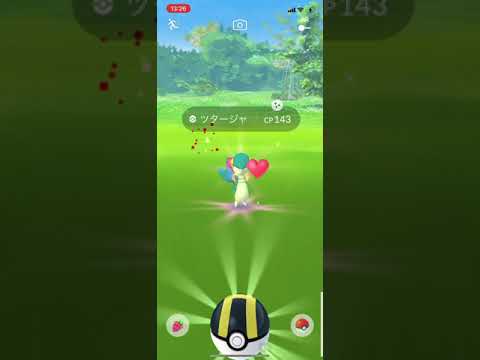 【ポケGO】ポケモンGO ツタージャ色違い