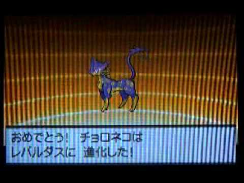 チョロネコはレパルダスに進化した！（貓型Pokemon「Cyoroneko」的進化）