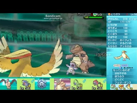 【ピジョット編】実況ポケレポ・PART15【ポケモンXY対戦実況】