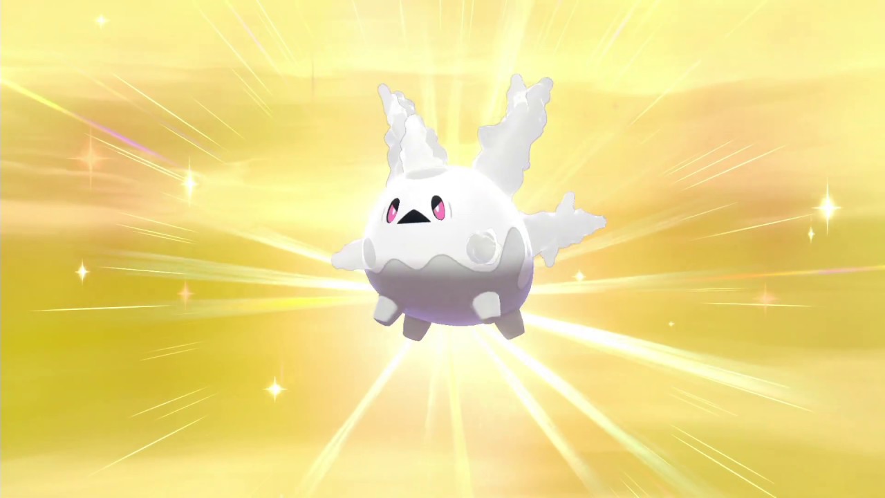 サニーゴ！サニーゴ！サニーゴ！【ポケモン剣盾】