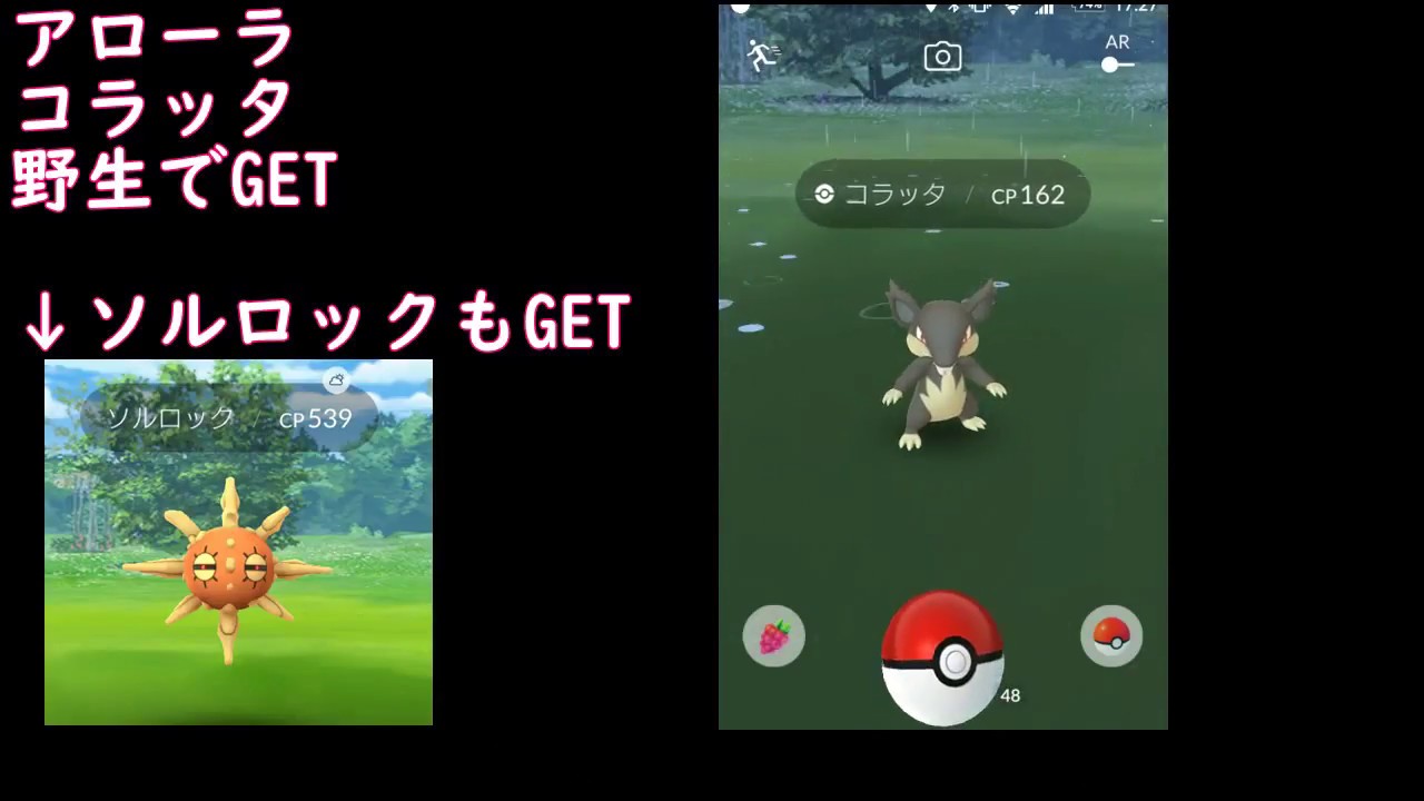 野生のアローラコラッタとソルロック【ポケモンGO】