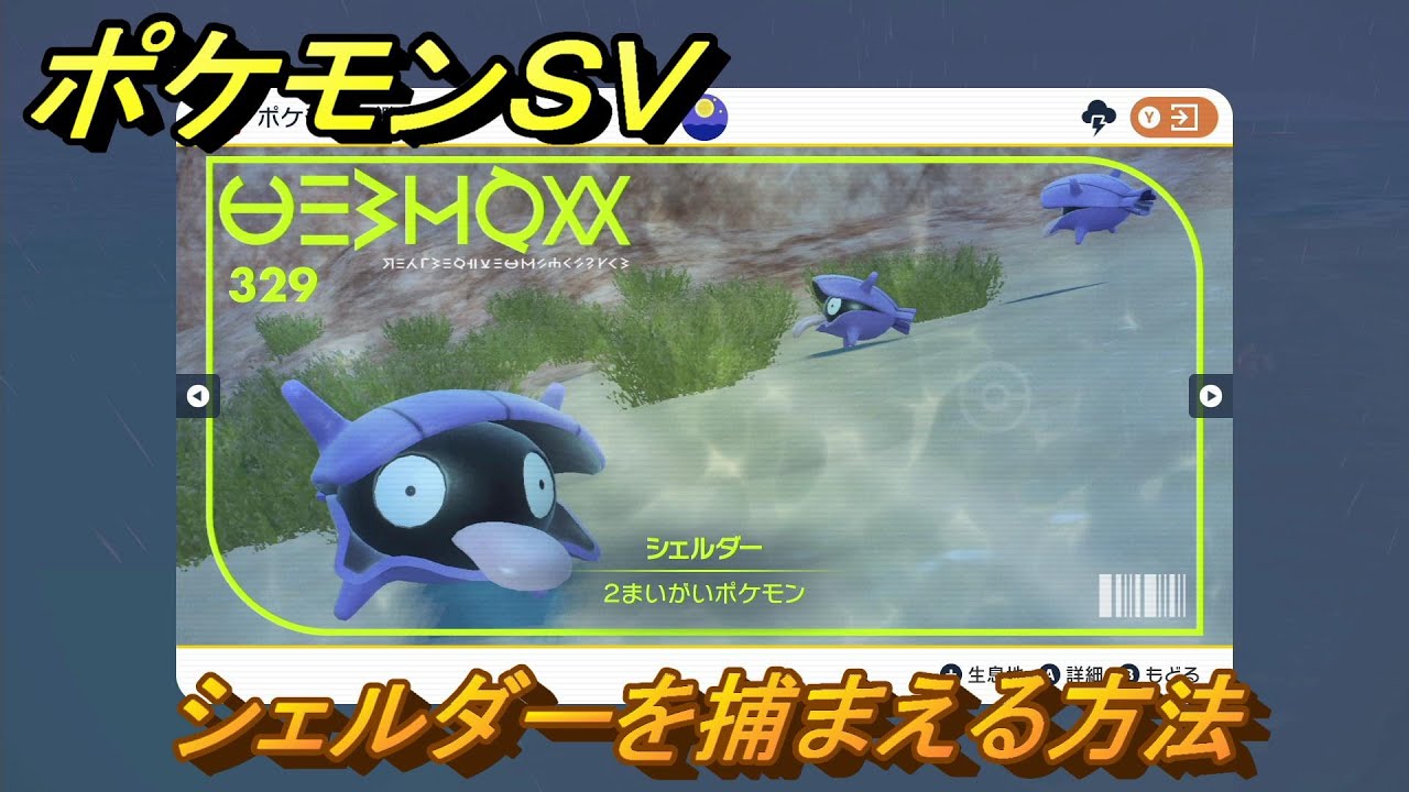 ポケモンＳＶ　シェルダーを捕まえる方法！出現場所は？図鑑No.３２９　ポケモン図鑑を埋めよう！　【スカーレット・バイオレット】