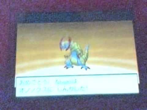 オノンドの進化