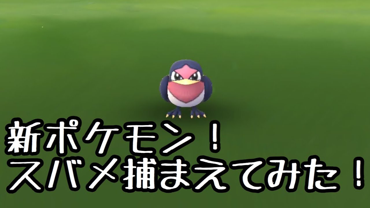【ポケモンGO】新ポケモン！スバメ野生で捕まえてみた！