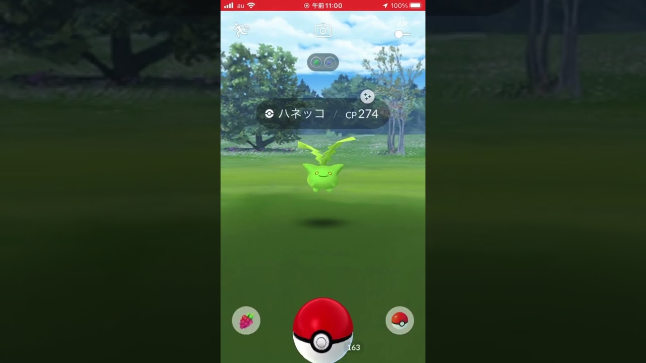 ハネッココミュニティデイスタート！！ #ポケモンgo ＃色違い #コミニュティデイ