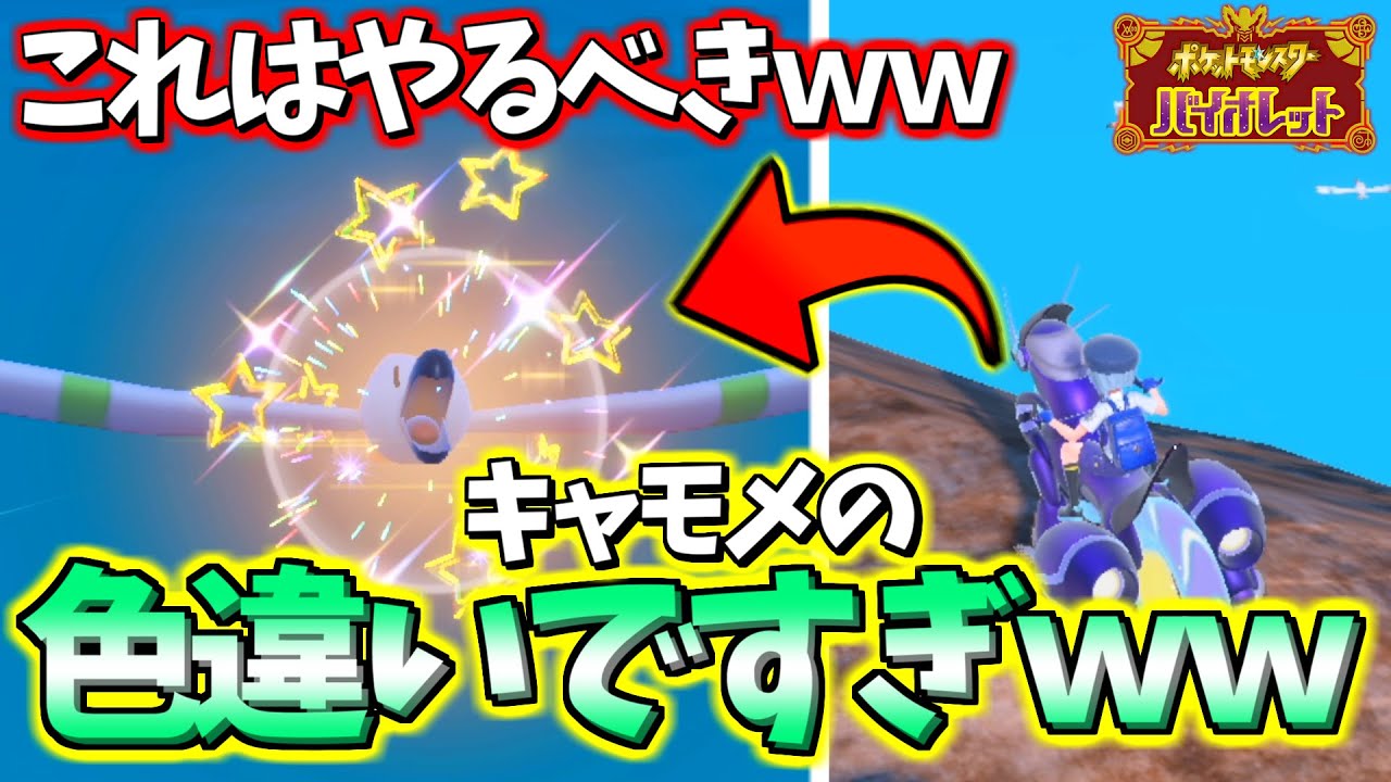 移動するだけで色違いキャモメが出る方法がやばすぎるWWW【ポケモンSV】#shorts