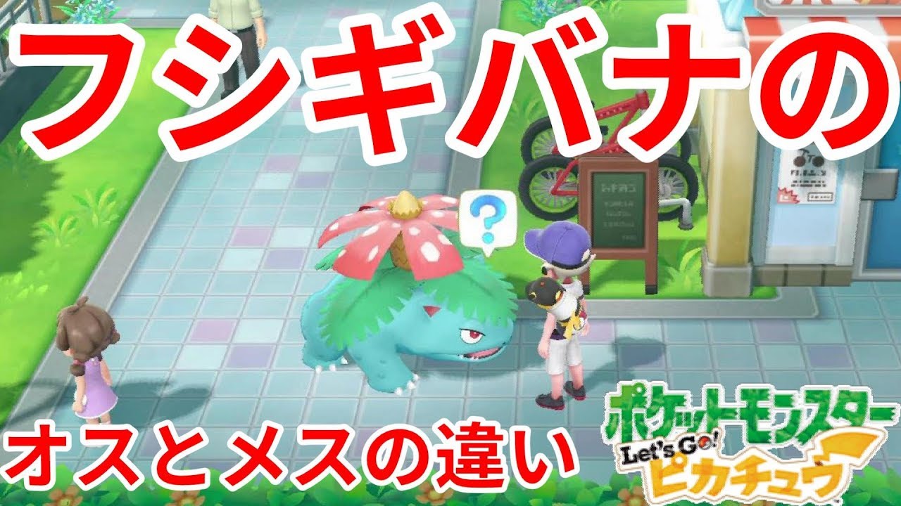 不思議な違い！？フシギバナのオスとメスの違いはここ！【ポケモンLet'sGO！ピカチュウ】