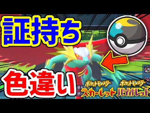 【ポケモンSV】色違い証持ちムンボ古代ボーマンダが欲しい！！！！