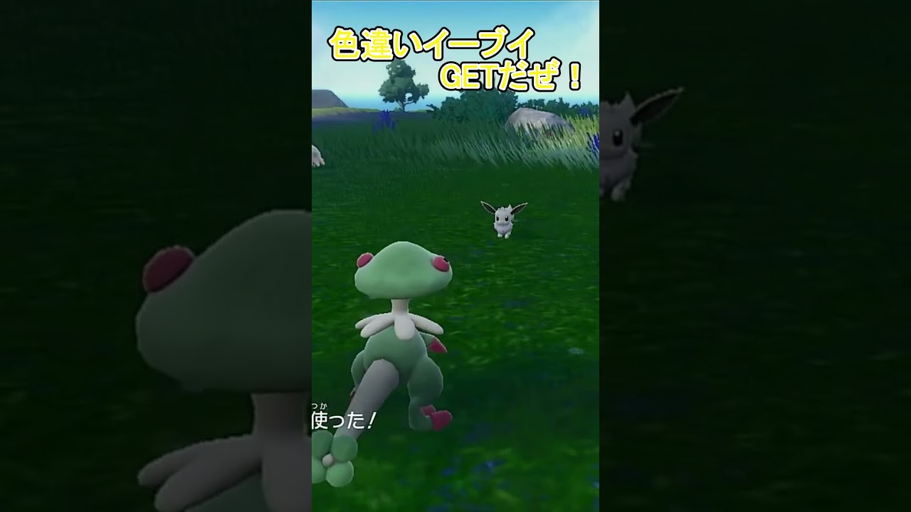【ポケモンSV】共有したい幸せがそこにある【色違い＠イーブイ】#Short