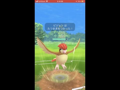 ポケモンGO No.017 ピジョン つばさでうつ&たつまき/Pokémon GO No.017 Pigeon Tsubasa Depression & Tornado