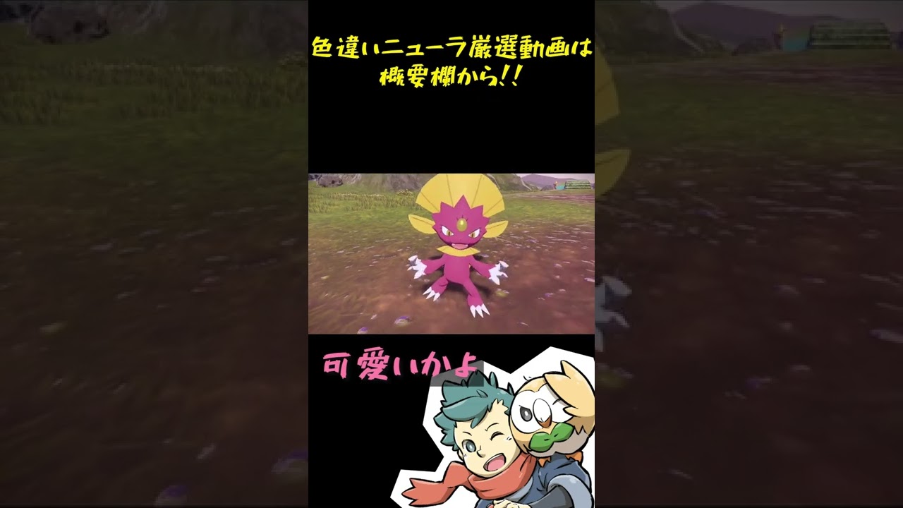 【尊い】色違いマニューラが可愛すぎる #Shorts【ポケモンレジェンズアルセウス Pokémon LEGENDS アルセウス】