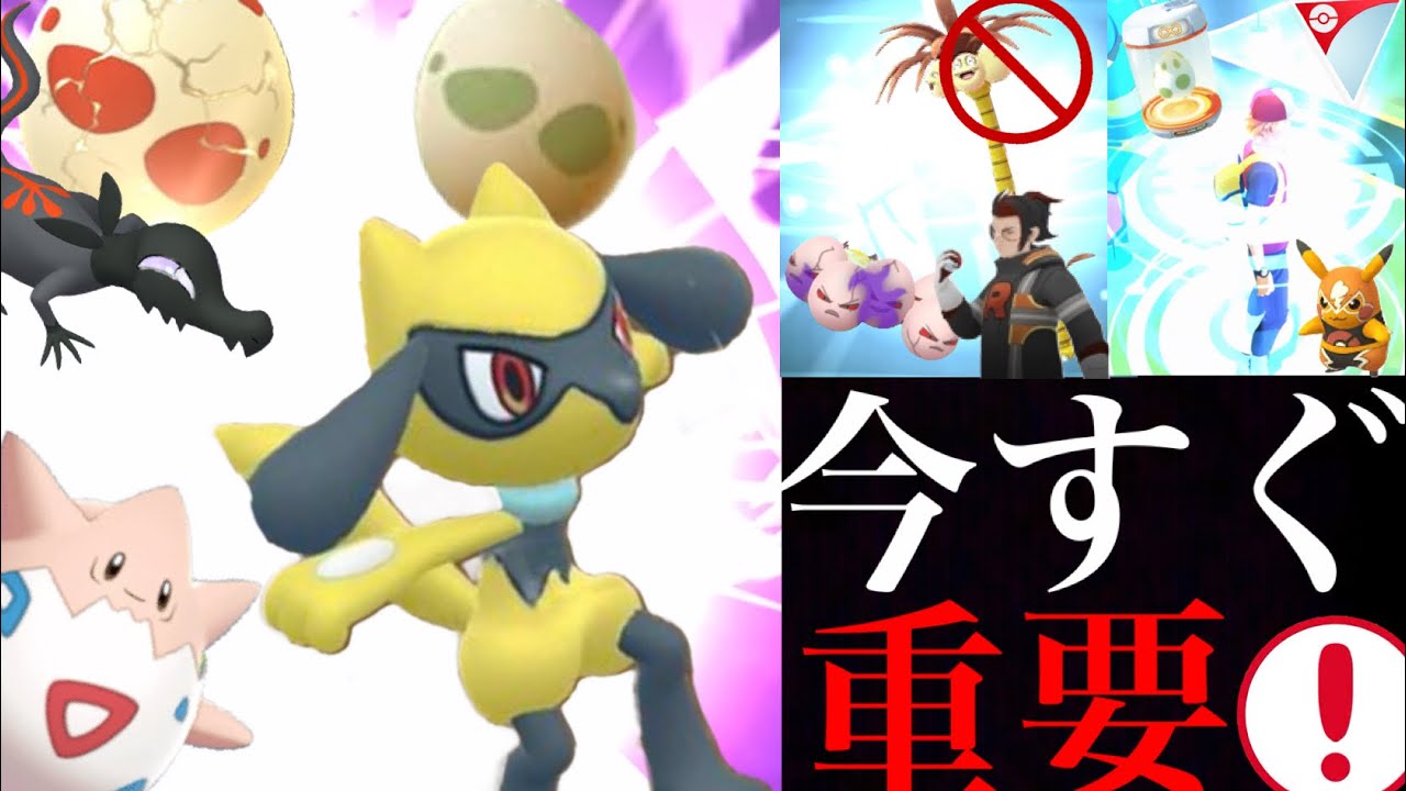 【ポケモンGO】緊急！あの色違い大チャンスや激レアをタマゴで狙える時がやってきた・・！【春イベント・カプブルル・色違いポケモン・リオル・シャドウアローラナッシー】