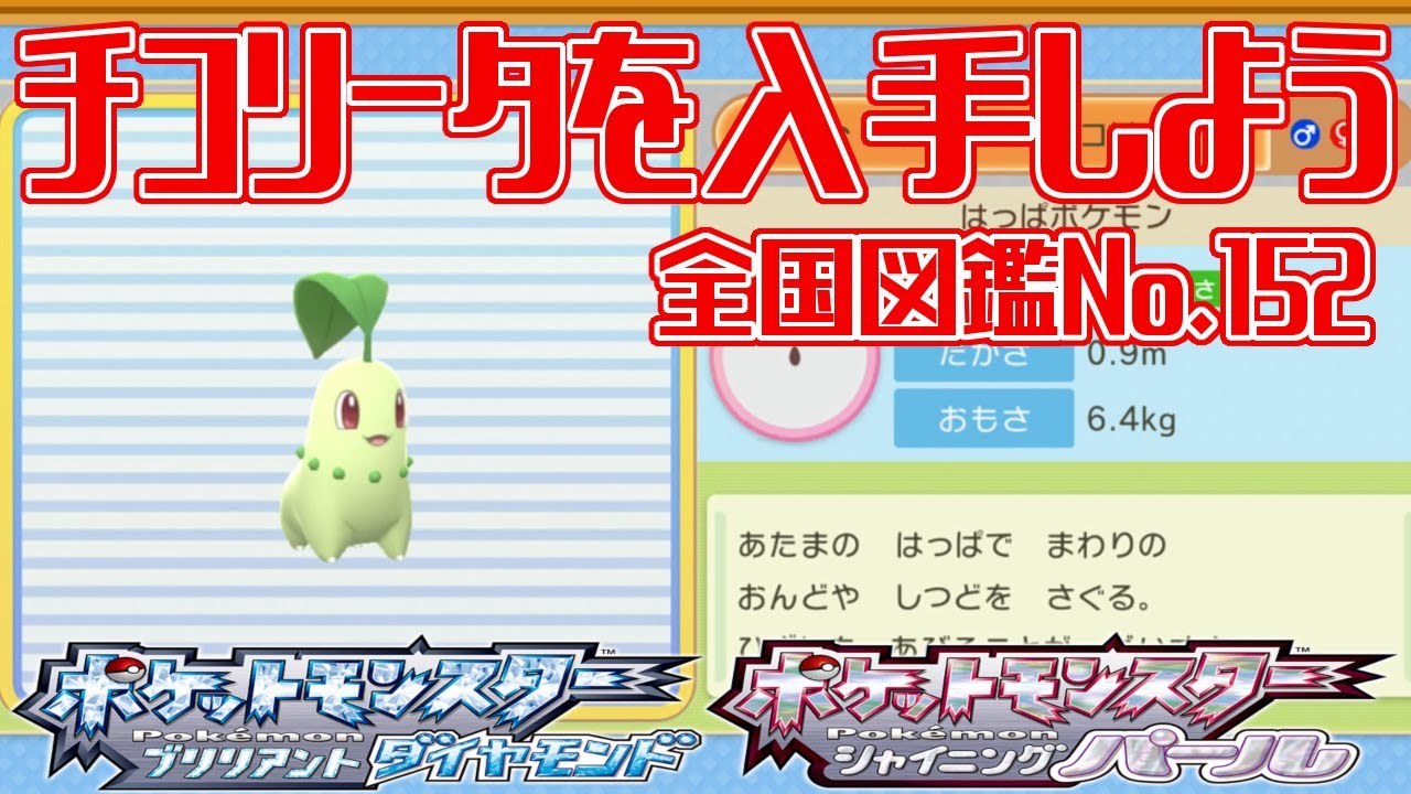 【ポケモンダイパリメイク】チコリータを入手しよう 全国図鑑No.152【ポケットモンスター ブリリアントダイヤモンド・シャイニングパール】Pocket Monsters