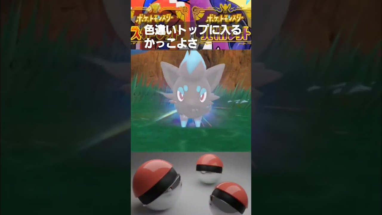 【ポケモンSV】色違い進化シリーズ19作目※ゾロア色違いゲットしてるよ！って方は高評価よろしく#shorts #ポケモン #ポケモンsv