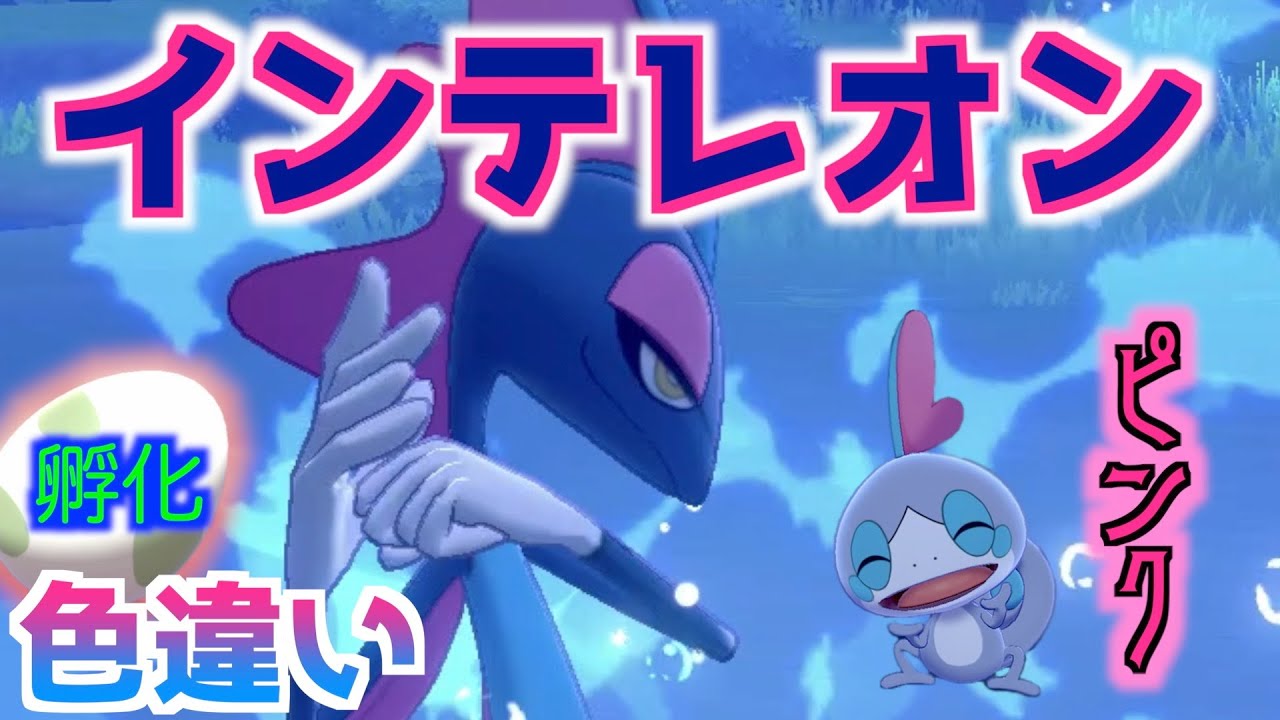 【ポケモン剣盾色違い】#13 色インテレオン出してみた【国際孵化マラソン】