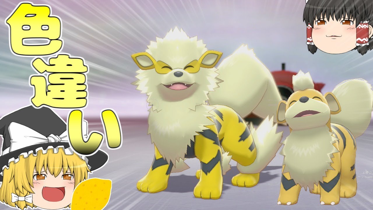 【ポケモン剣盾】初の野生色粘り！守りたいこの笑顔、黄ウインディ＆ガーディ！黄色色違い統一を目指して..　【ゆっくり実況】part2