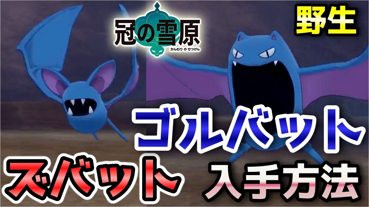 【冠の雪原】『ズバット・ゴルバット』野生での出現場所・入手方法！クロバットへの進化条件も実況解説【ポケモン剣盾】ニャン速ちゃんねる