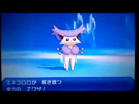 【ポケモンＵＳＵＭ】エネコロロをシングルバトルで生かす