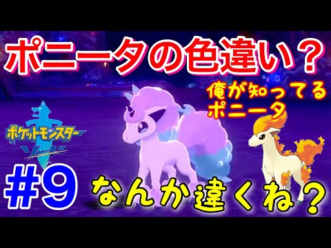 ポニータの色違いだと勘違いして大喜びのポケモン初心者たち【ポケモン剣盾一体縛り】Part9