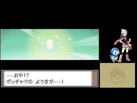 【ポケモン】無限に進化するポッチャマ