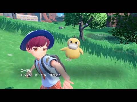 バトル中に映りこんだコダックが一瞬カラコンしてた【ポケットモンスタースカーレット】
