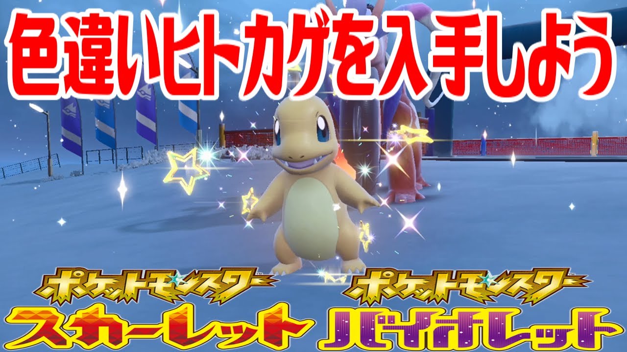 【ポケモンSV】色違いヒトカゲを入手しよう タマゴふか(タマゴ孵化)【ポケットモンスター スカーレット・バイオレット】Pocket Monsters