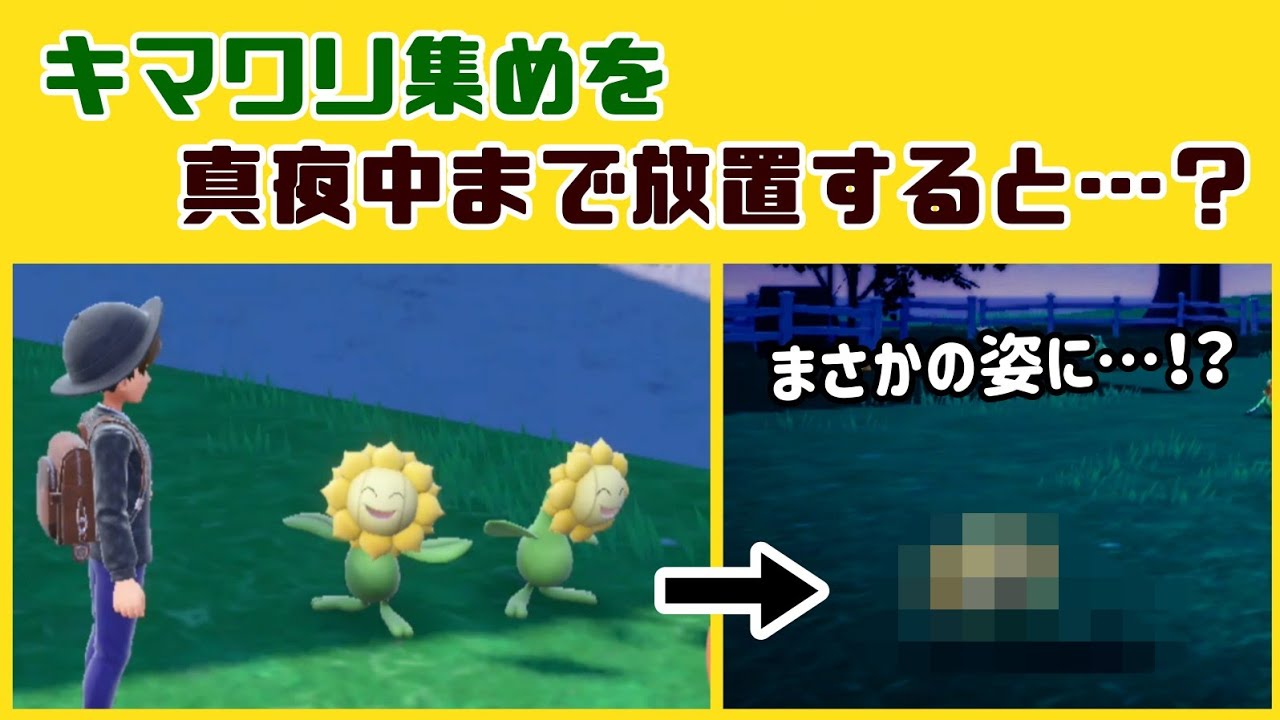 【ポケモンSV】キマワリ集め中にキマワリを夜中まで放置するとまさかの姿に…!? ゲームに隠れた細かすぎる小ネタ集【ポケットモンスター スカーレット・バイオレット】@レウンGameTV