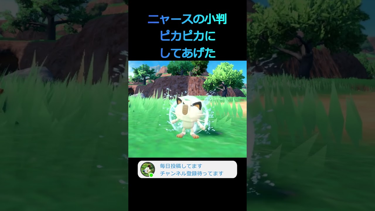 【ポケモンSV】ニャースを洗ったら可愛すぎた #shorts