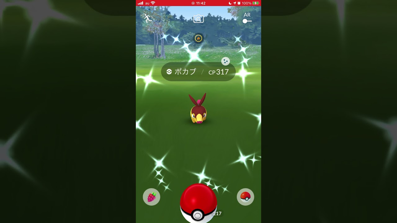 ［ポケモンGO］コミュニティデイ 色違い発見→進化「ポカブ→チャオブー→エンブオー」