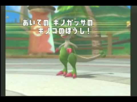 PBRランダムシングル　天然ビーダルの恐怖