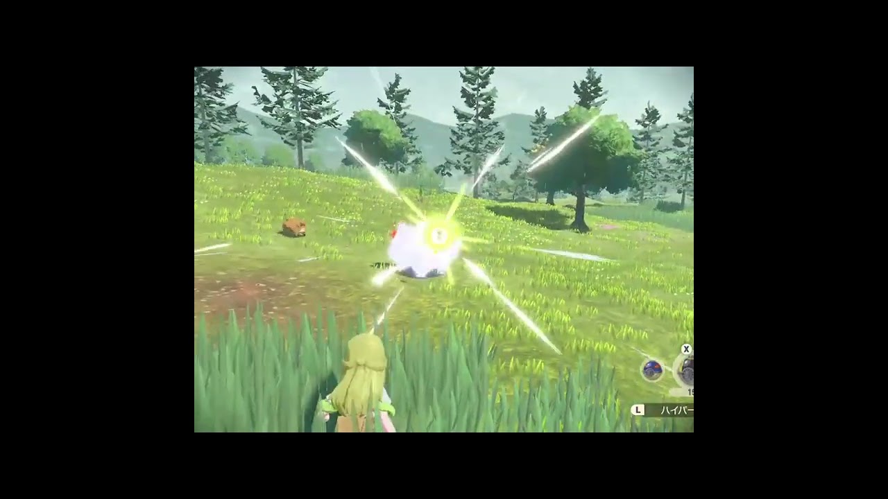 荒ぶるビッパ　【Pokemon LEGENDS アルセウス】【Pokemon Legends】