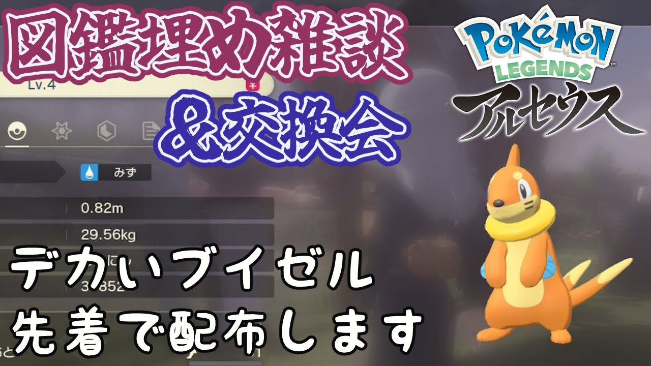 【ポケモンアルセウス】図鑑埋め作業雑談と交換会【デカいブイゼル配布】